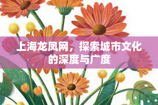 上海龙凤网，探索城市文化的深度与广度