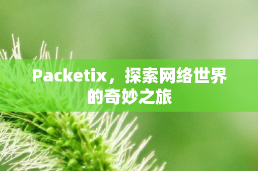 Packetix，探索网络世界的奇妙之旅