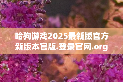 哈狗游戏2025最新版官方新版本官版.登录官网.org，哈狗游戏，打造休闲游戏的乐园