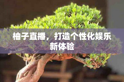 柚子直播，打造个性化娱乐新体验