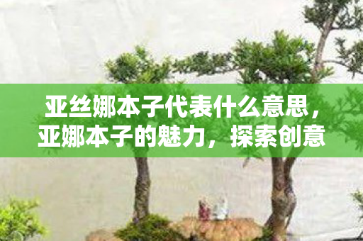 亚丝娜本子代表什么意思，亚娜本子的魅力，探索创意与自由的边界