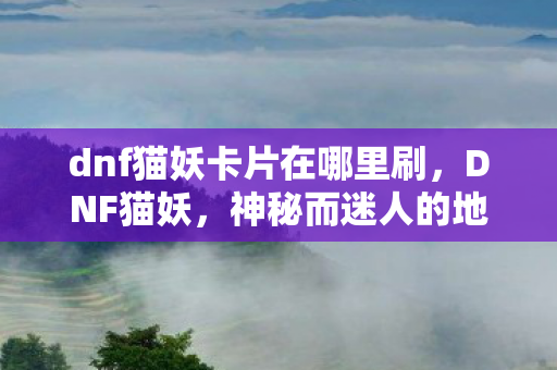 dnf猫妖卡片在哪里刷，DNF猫妖，神秘而迷人的地下城生物