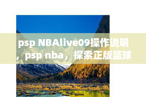 psp NBAlive09操作说明，psp nba，探索正版篮球游戏的魅力