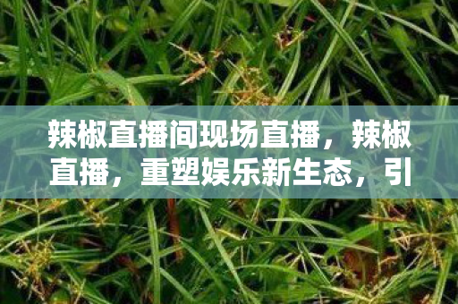 辣椒直播间现场直播，辣椒直播，重塑娱乐新生态，引领直播新潮流