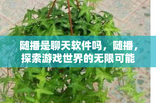 随播是聊天软件吗，随播，探索游戏世界的无限可能