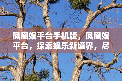 凤凰娱平台手机版，凤凰娱平台，探索娱乐新境界，尽享数字时代娱乐盛宴