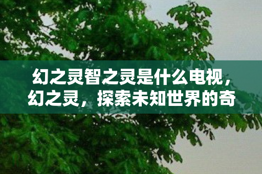 幻之灵智之灵是什么电视，幻之灵，探索未知世界的奇幻之旅