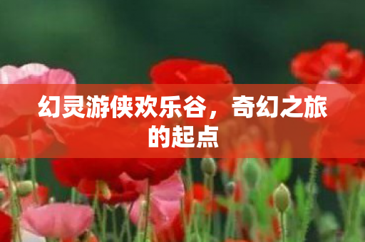 幻灵游侠欢乐谷，奇幻之旅的起点