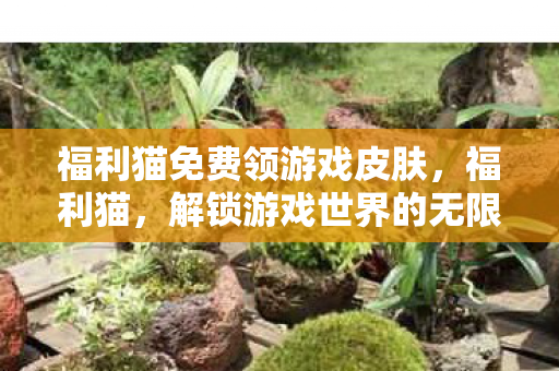 福利猫免费领游戏皮肤，福利猫，解锁游戏世界的无限可能