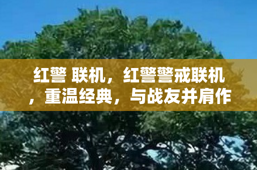 红警 联机，红警警戒联机，重温经典，与战友并肩作战