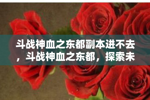 斗战神血之东都副本进不去，斗战神血之东都，探索未知世界的奇幻之旅