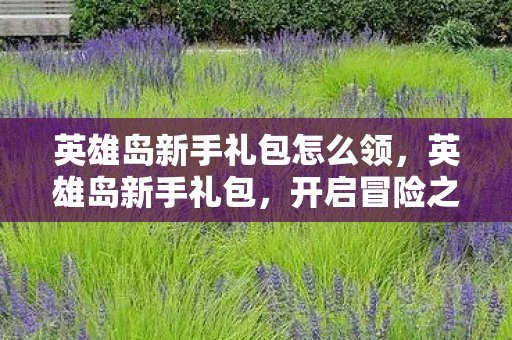 英雄岛新手礼包怎么领，英雄岛新手礼包，开启冒险之旅的钥匙
