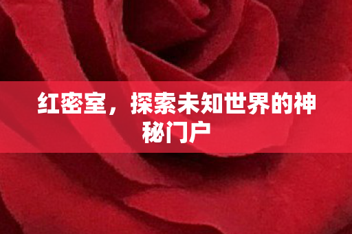 红密室，探索未知世界的神秘门户