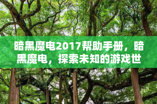 暗黑魔电2017帮助手册，暗黑魔电，探索未知的游戏世界