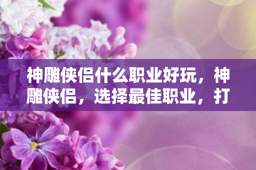 神雕侠侣什么职业好玩，神雕侠侣，选择最佳职业，打造传奇之路