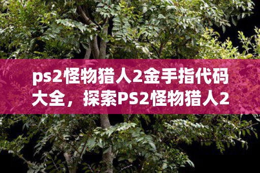 ps2怪物猎人2金手指代码大全，探索PS2怪物猎人2金手指的奇妙世界