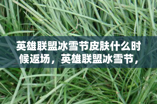 英雄联盟冰雪节皮肤什么时候返场，英雄联盟冰雪节，冬日里的游戏盛宴