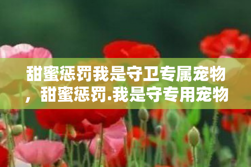 甜蜜惩罚我是守卫专属宠物，甜蜜惩罚.我是守专用宠物