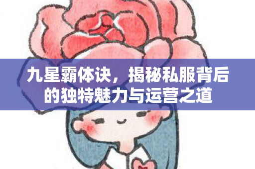 九星霸体诀，揭秘私服背后的独特魅力与运营之道