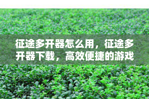 征途多开器怎么用，征途多开器下载，高效便捷的游戏体验