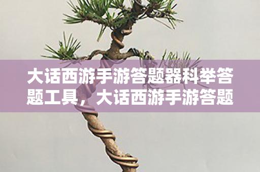 大话西游手游答题器科举答题工具，大话西游手游答题器，高效辅助，助你畅游江湖
