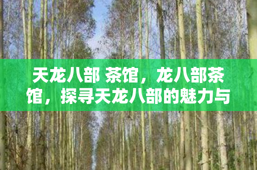 天龙八部 茶馆，龙八部茶馆，探寻天龙八部的魅力与传奇