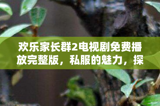 欢乐家长群2电视剧免费播放完整版，私服的魅力，探索游戏世界的另一种方式