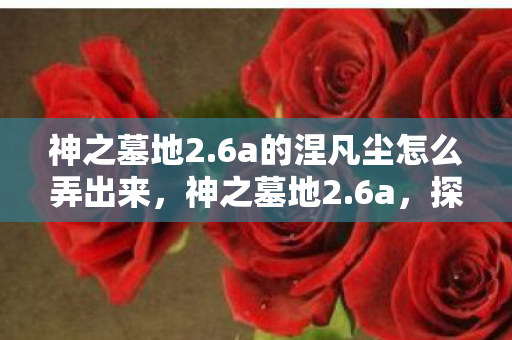 神之墓地2.6a的涅凡尘怎么弄出来，神之墓地2.6a，探索未知世界的奇幻之旅
