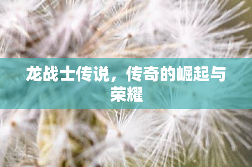 龙战士传说，传奇的崛起与荣耀