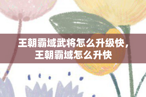 王朝霸域武将怎么升级快，王朝霸域怎么升快