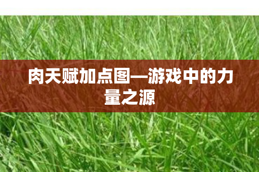 肉天赋加点图—游戏中的力量之源