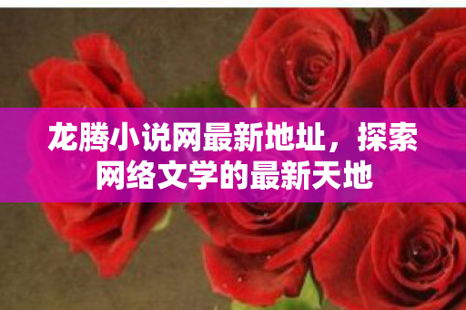 龙腾小说网最新地址，探索网络文学的最新天地