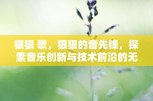 狠狠 歌，狠狠的音先锋，探索音乐创新与技术前沿的无限可能