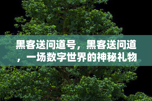 黑客送问道号，黑客送问道，一场数字世界的神秘礼物