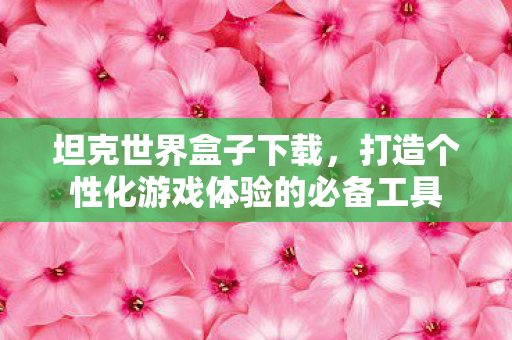 坦克世界盒子下载，打造个性化游戏体验的必备工具