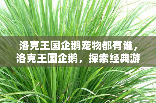 洛克王国企鹅宠物都有谁，洛克王国企鹅，探索经典游戏的魅力与传承