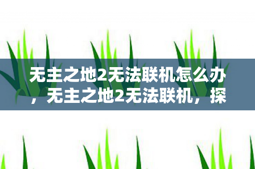 无主之地2无法联机怎么办，无主之地2无法联机，探索游戏联机的挑战与解决方案
