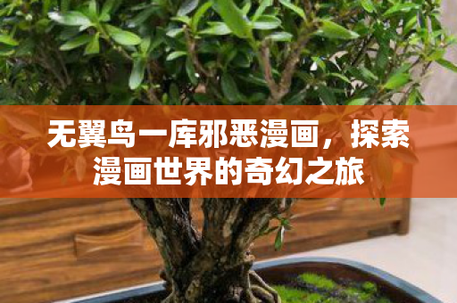 无翼鸟一库邪恶漫画，探索漫画世界的奇幻之旅