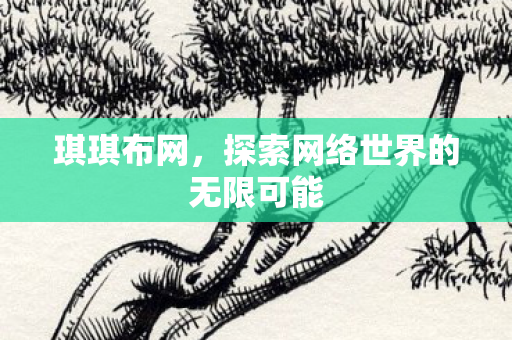 琪琪布网，探索网络世界的无限可能