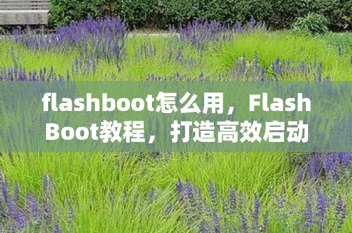 flashboot怎么用，FlashBoot教程，打造高效启动U盘