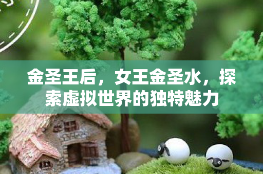 金圣王后，女王金圣水，探索虚拟世界的独特魅力