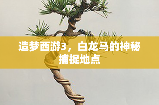造梦西游3,白龙马的神秘捕捉地点 造梦西游3,白龙马的神秘捕捉地点