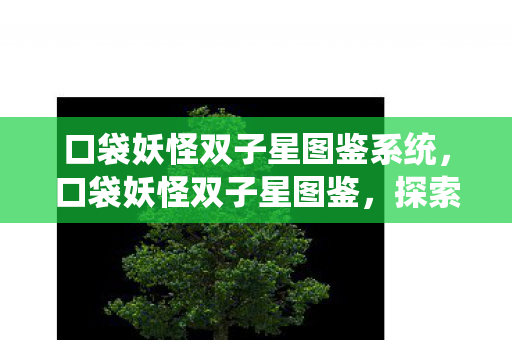 口袋妖怪双子星图鉴系统，口袋妖怪双子星图鉴，探索双子星世界的奇妙之旅
