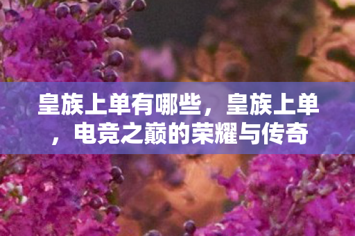 皇族上单有哪些，皇族上单，电竞之巅的荣耀与传奇