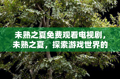未熟之夏免费观看电视剧，未熟之夏，探索游戏世界的另类魅力