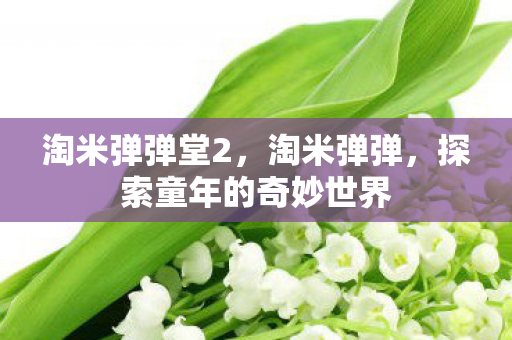 淘米弹弹堂2，淘米弹弹，探索童年的奇妙世界