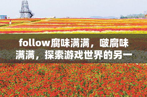 follow腐味满满，啵腐味满满，探索游戏世界的另一面