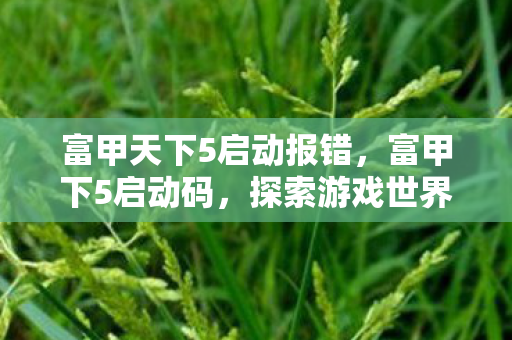 富甲天下5启动报错，富甲下5启动码，探索游戏世界的神秘钥匙