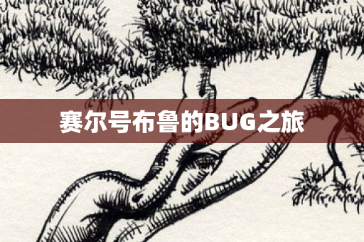 赛尔号布鲁的BUG之旅
