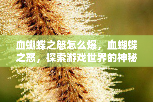 血蝴蝶之怒怎么爆，血蝴蝶之怒，探索游戏世界的神秘与激情